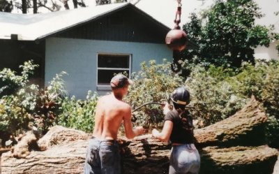 Tree trimming chainsaw